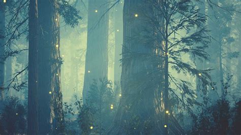Find Your Inner Child: Magical Forest Names That Evoke Childhood Wonder
